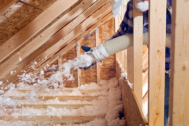 Professional Insulation Services in Northport, AL